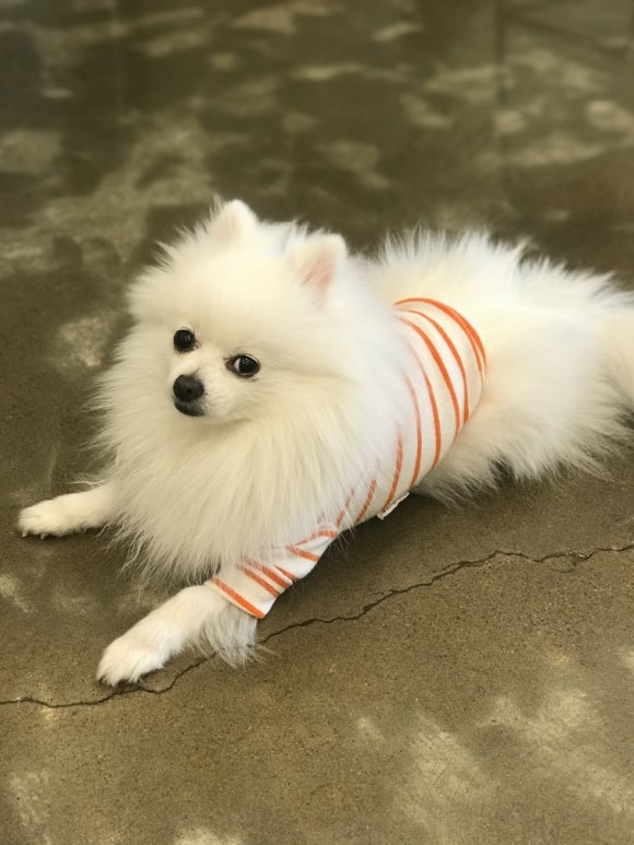 단골헤어샵 이미지