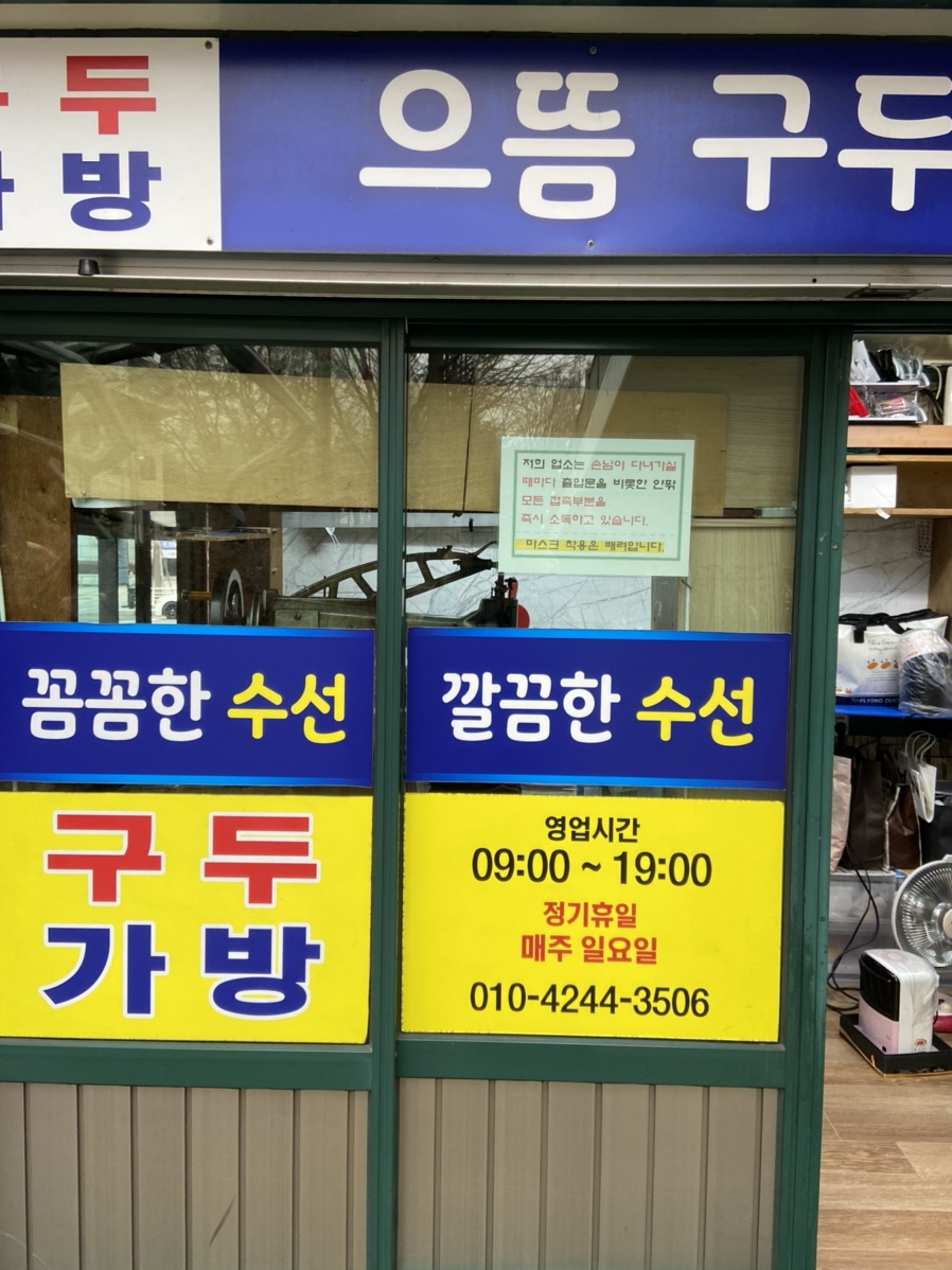 으뜸수선 이미지