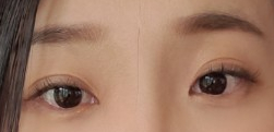 다비래쉬 이미지