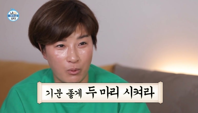 푸라닭대전 이미지