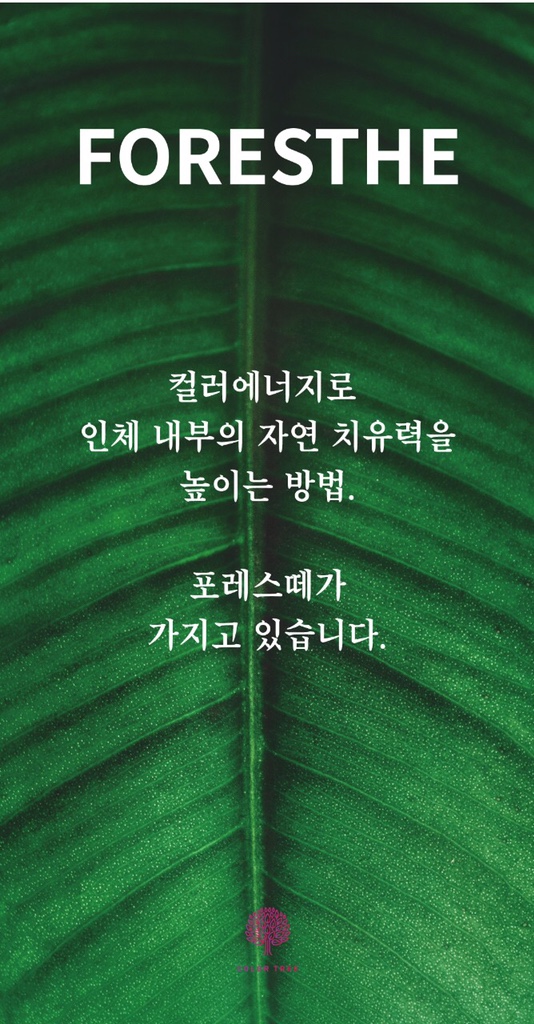컬러트리뷰티센터(상남점) 이미지