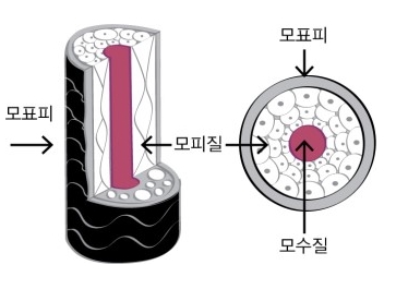 인헤어 이미지