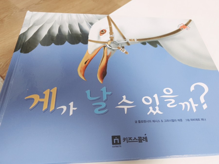 키즈마루 이미지