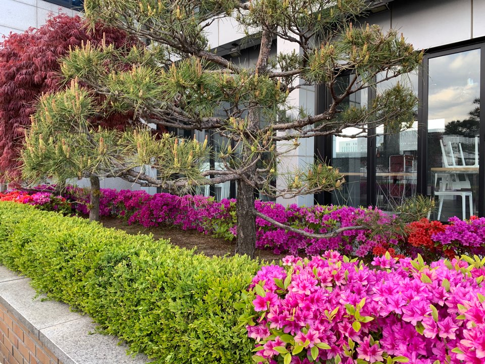 강남구제 이미지
