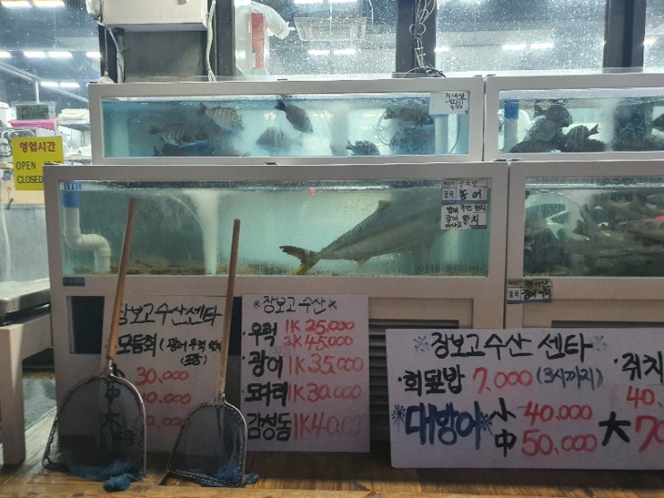장보고회수산센타 이미지