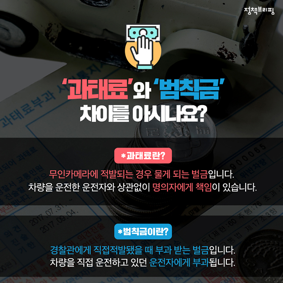 금릉축산 이미지