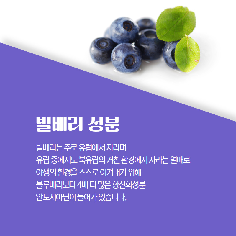 젤리뷰티 이미지