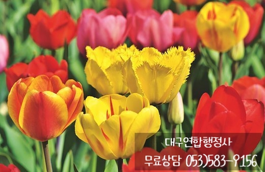 행정사김덕수 이미지