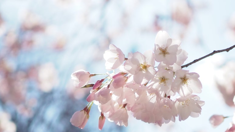 자연 NATURE 이미지