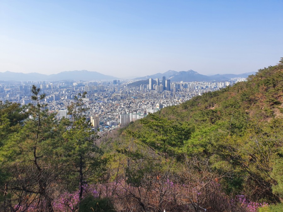 제도냉동공업 이미지