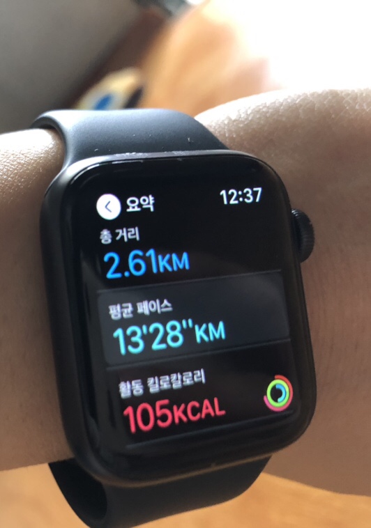 산오징어나라 이미지