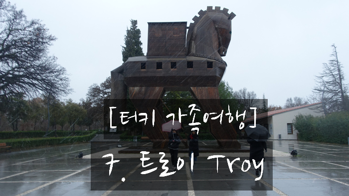 카트로인 이미지