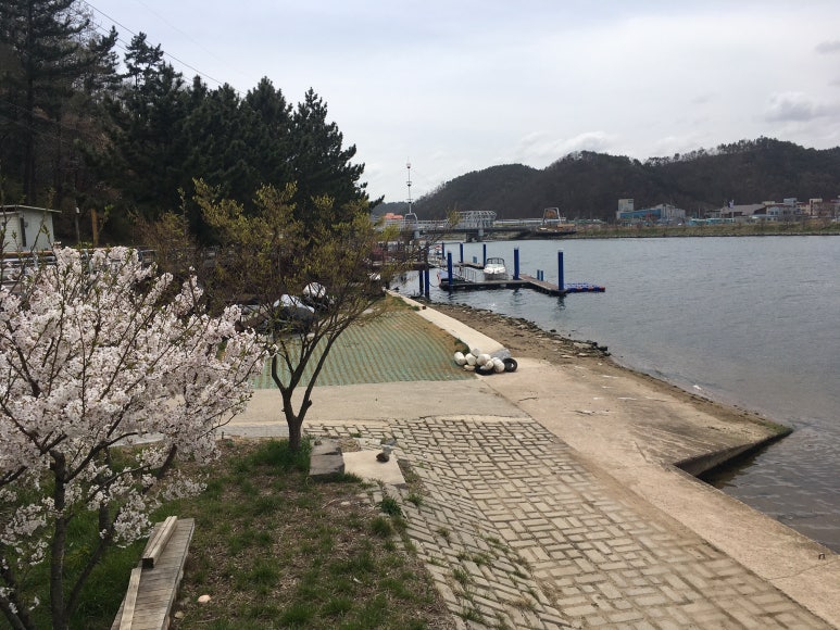 오십천마리나 이미지