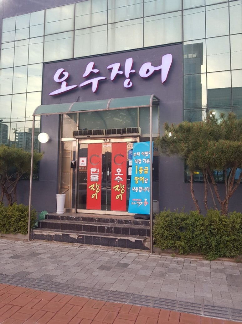 오수장어 이미지