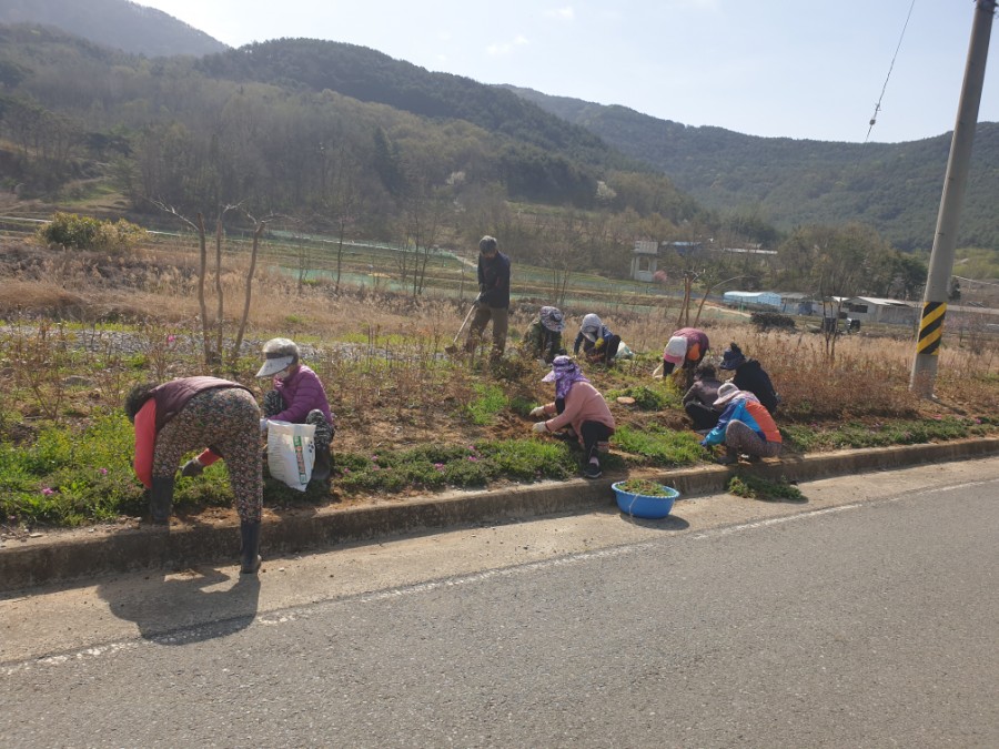 성곡친환경정보화마을 이미지
