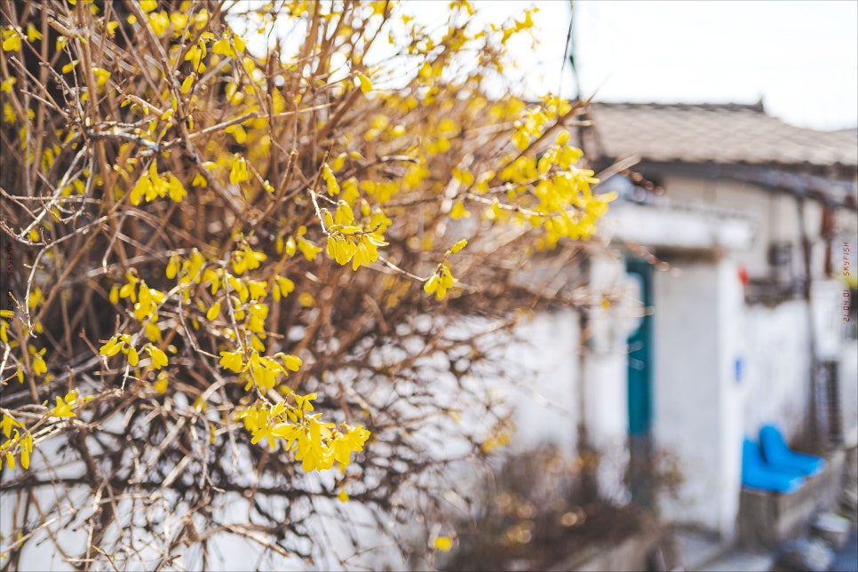크로프트커피로스터스 이미지