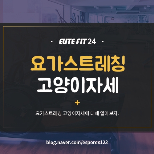엘리트핏24 이미지