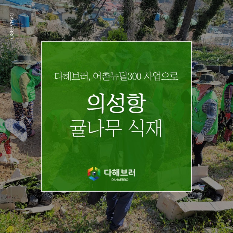 다해브러 이미지