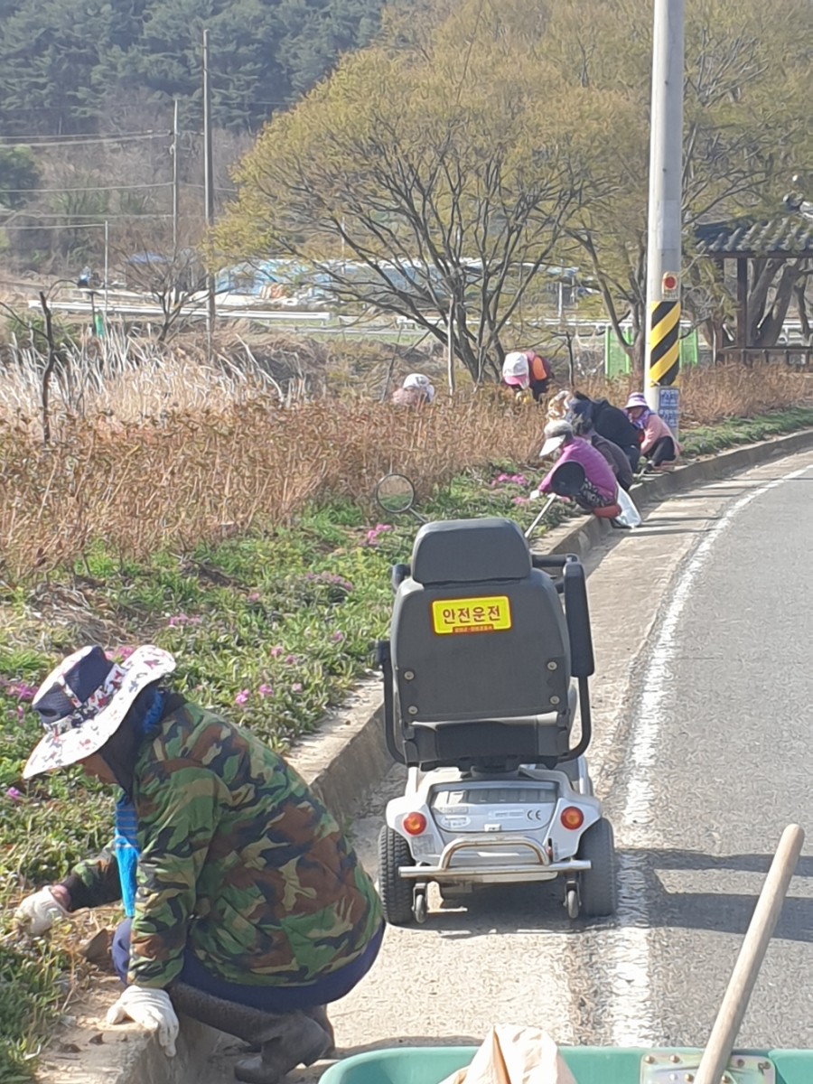 성곡친환경정보화마을 이미지