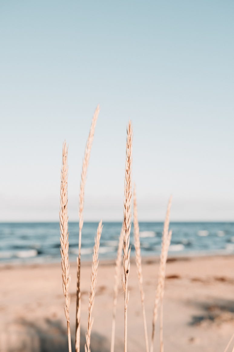 자연 NATURE 이미지