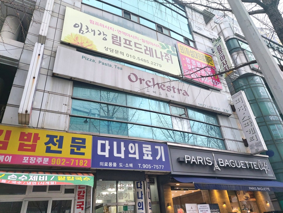 임채강림프드레나쥐 이미지