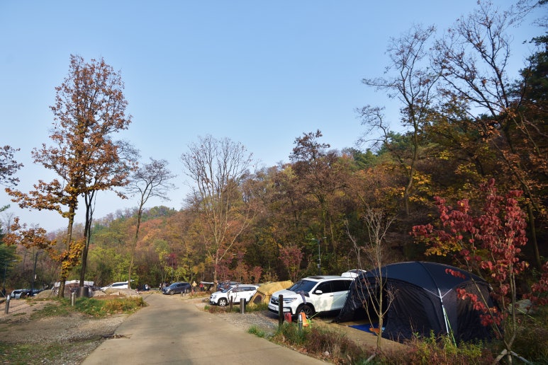 다시캠핑장2 이미지