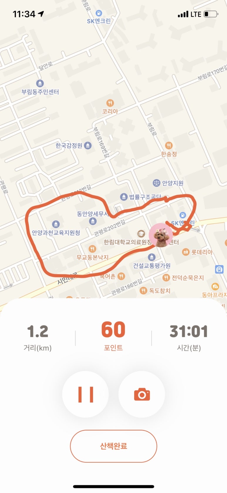 레스토랑펍피 이미지