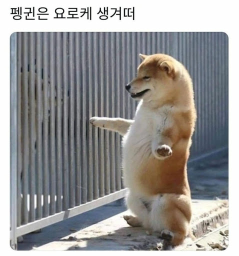 파랑 이미지