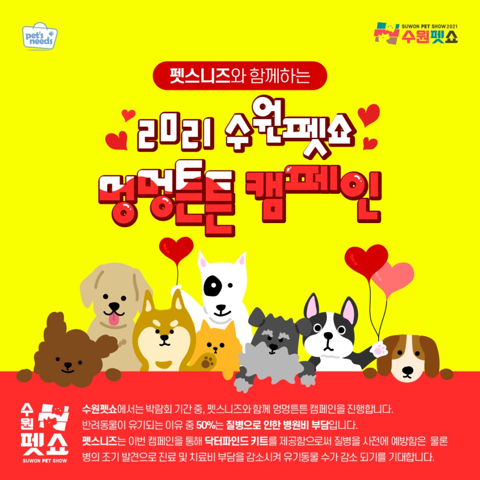 닥터파인드 이미지