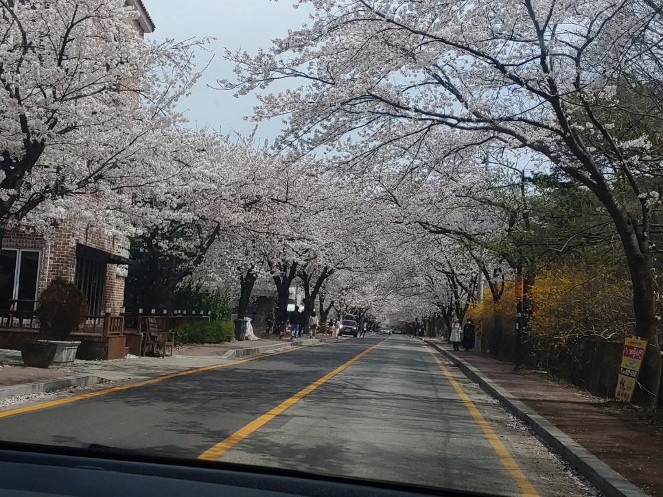 만개 모듬전 이미지