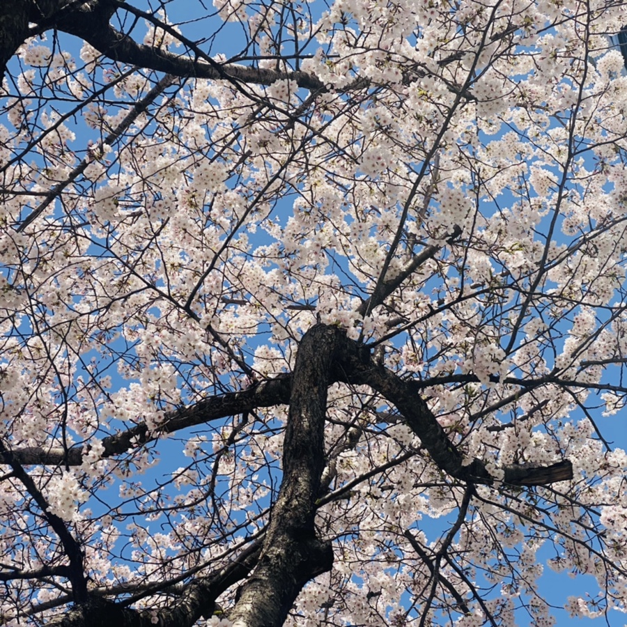 바나프레소 역삼초교사거리점 이미지