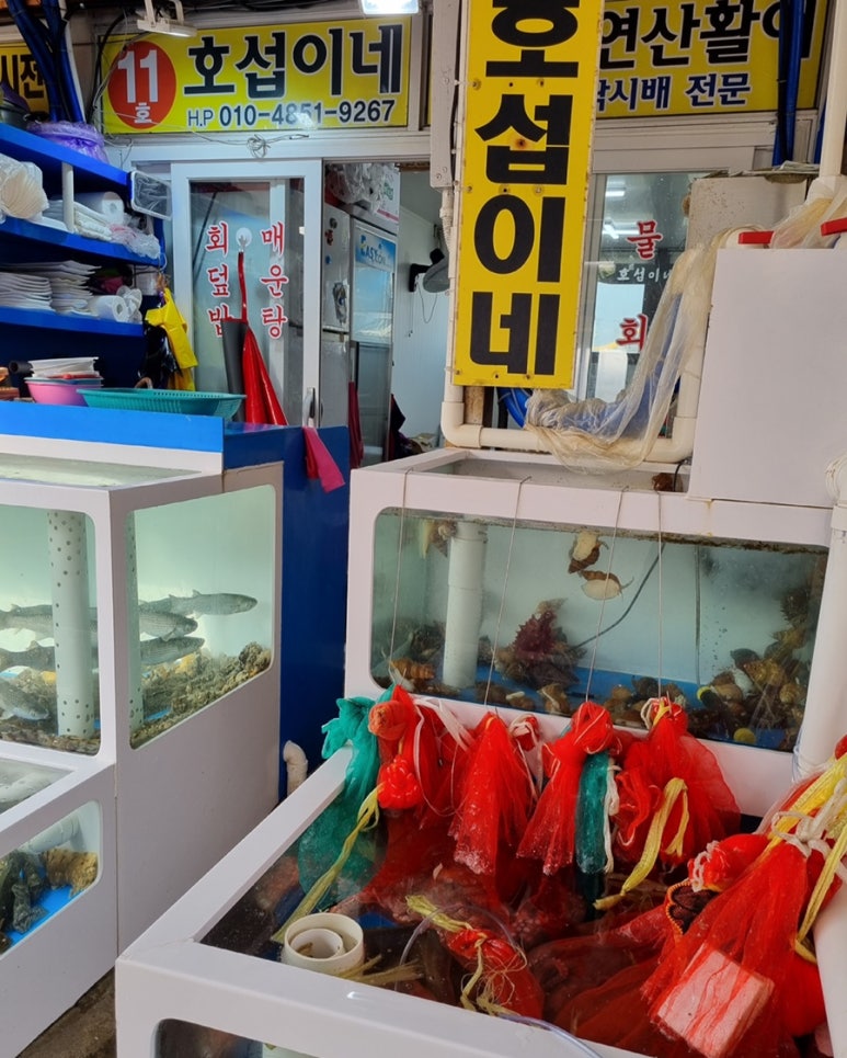 호섭이네(동흥호) 이미지