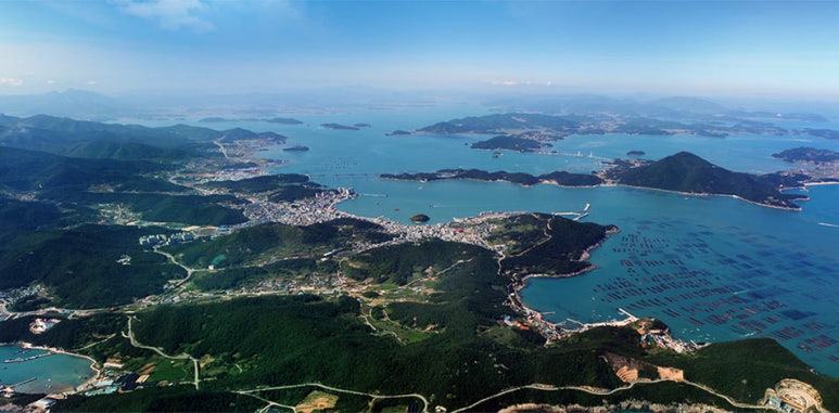 완도바다그대로 이미지