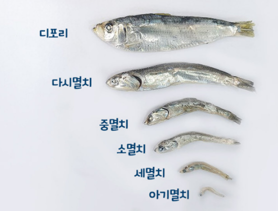 어부의식탁 이미지