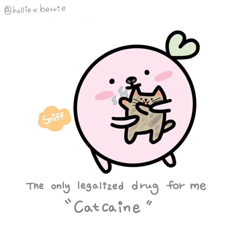 고카인 이미지