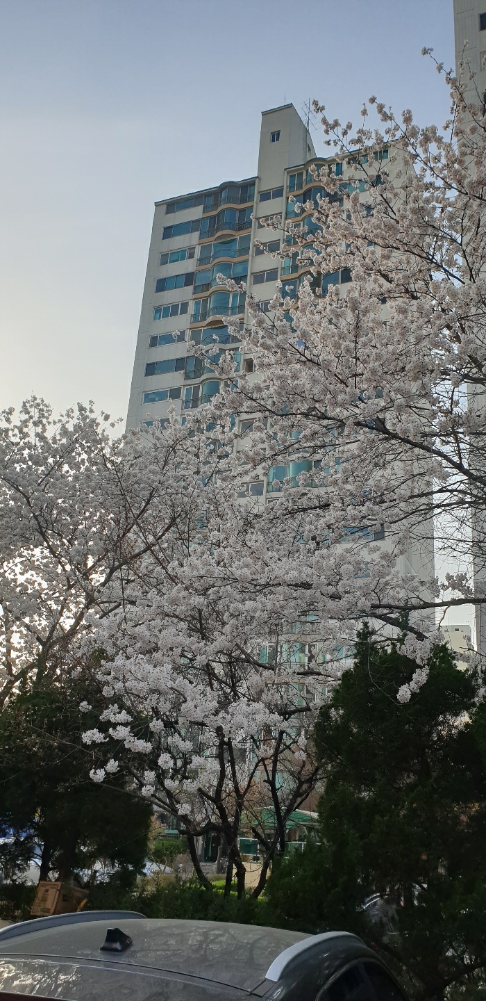 (주)가나유통 이미지