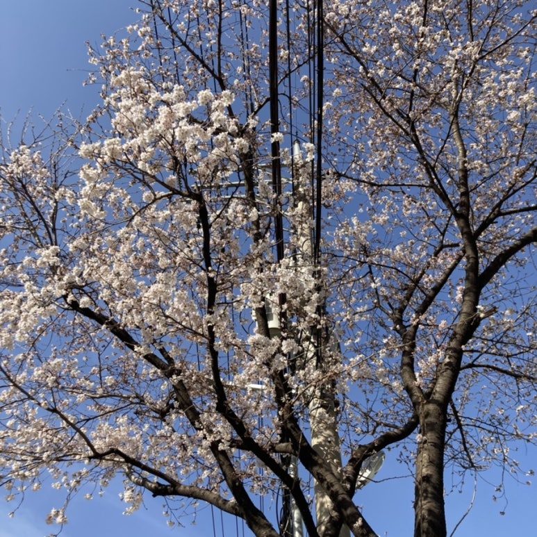 뚜레쥬르하송점 이미지