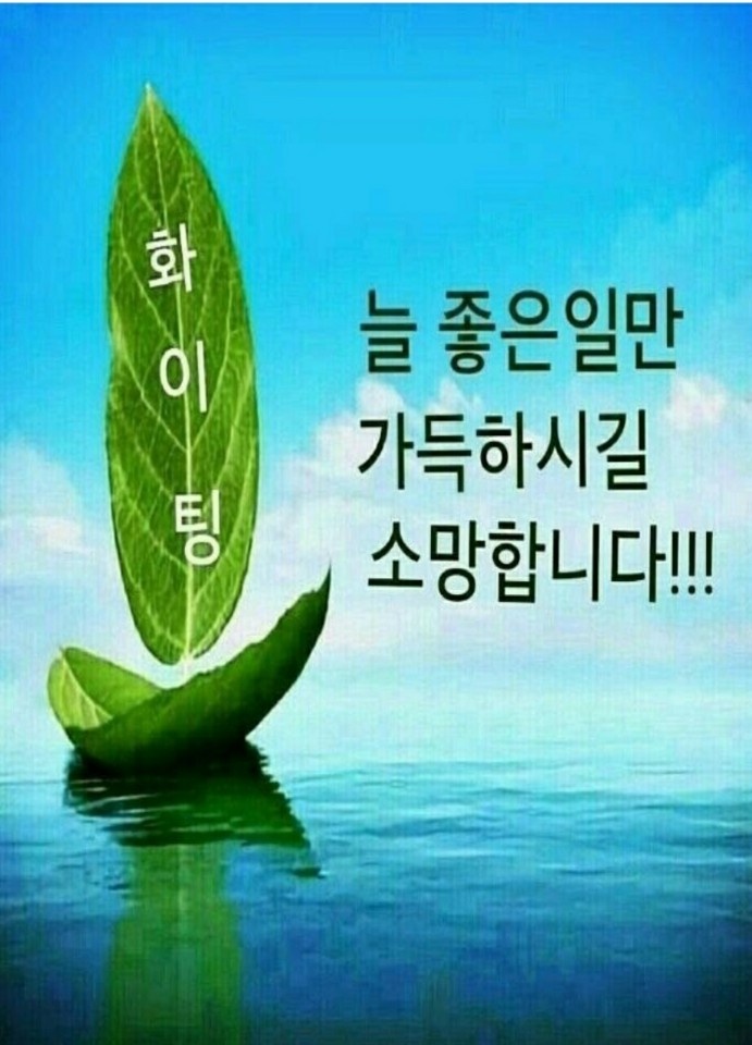 엘림칼국수 이미지