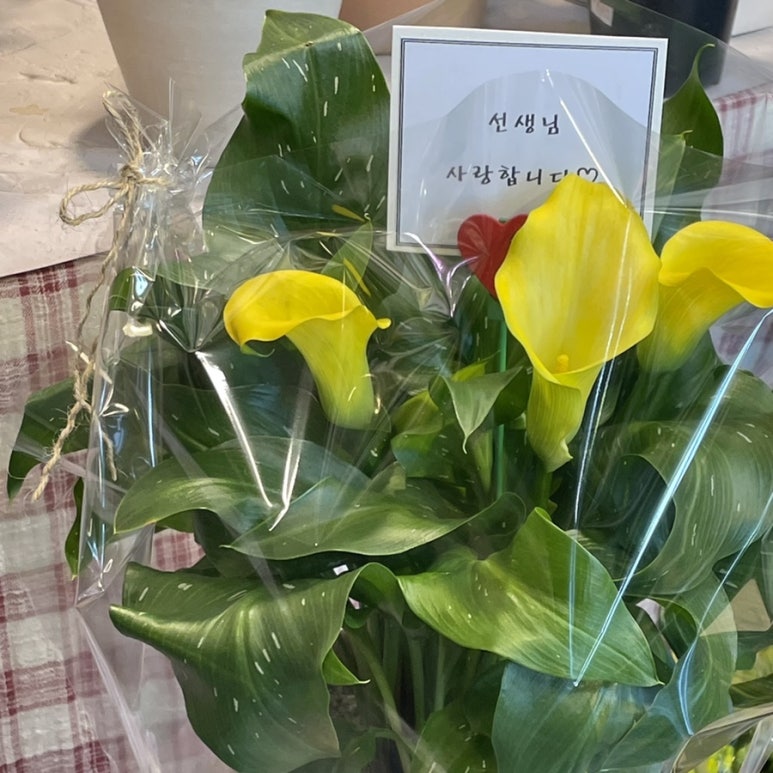 유진토기 이미지