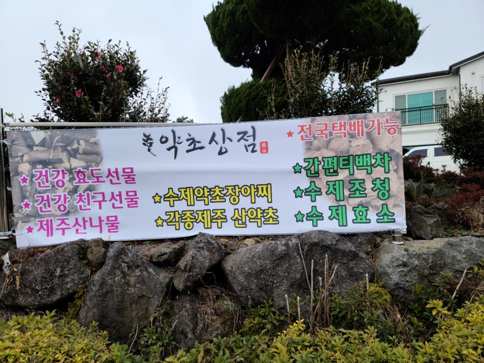 동백상점 이미지