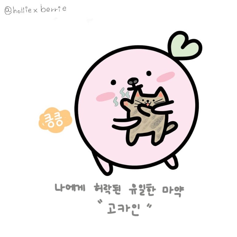 고카인 이미지