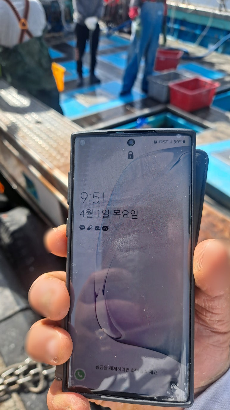 독도수산건어물 이미지