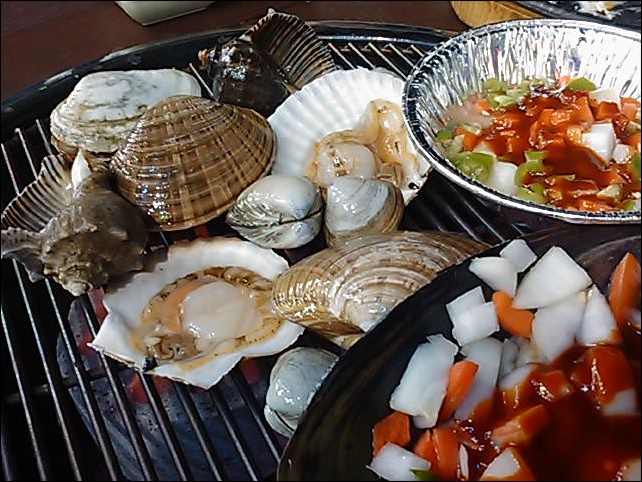 소라 이미지