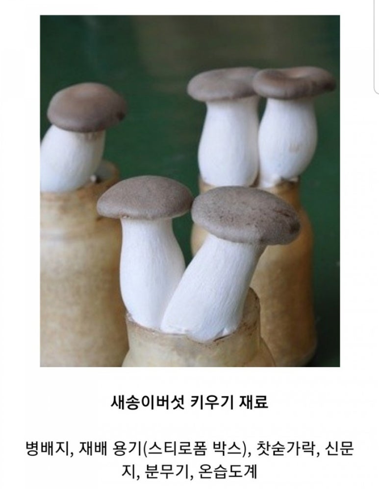 마더하우스 이미지