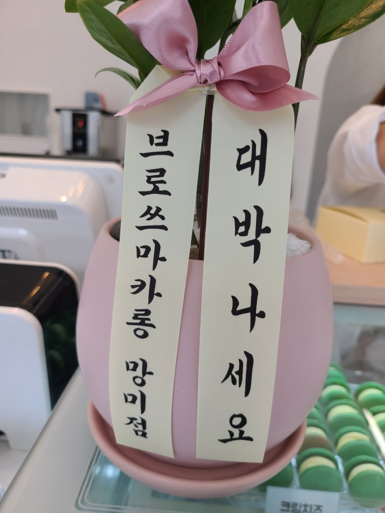 브로쓰마카롱망미점 이미지