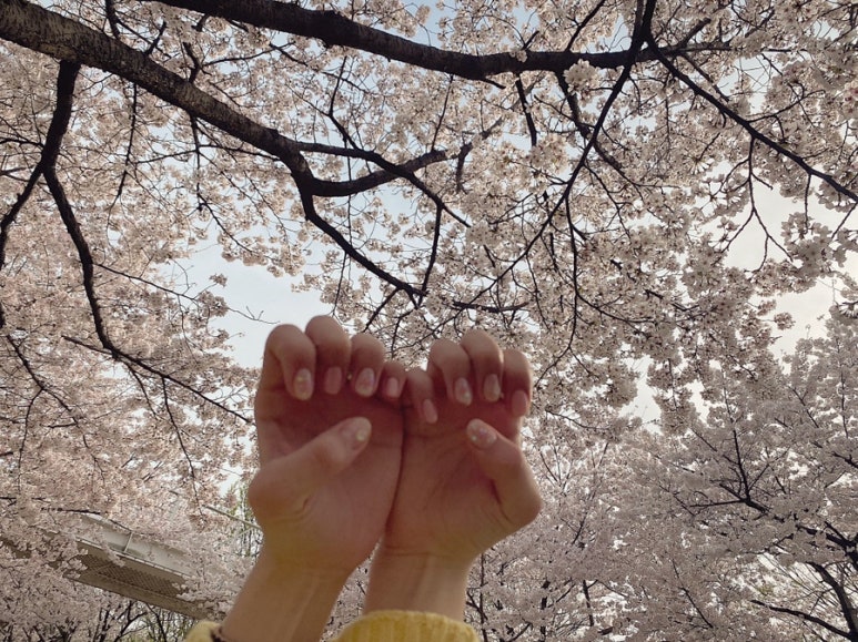 네일설레다 이미지
