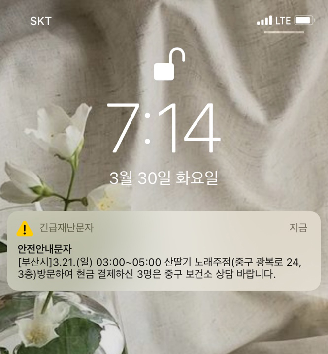 체리노래주점 이미지