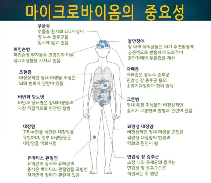 파인식품 이미지