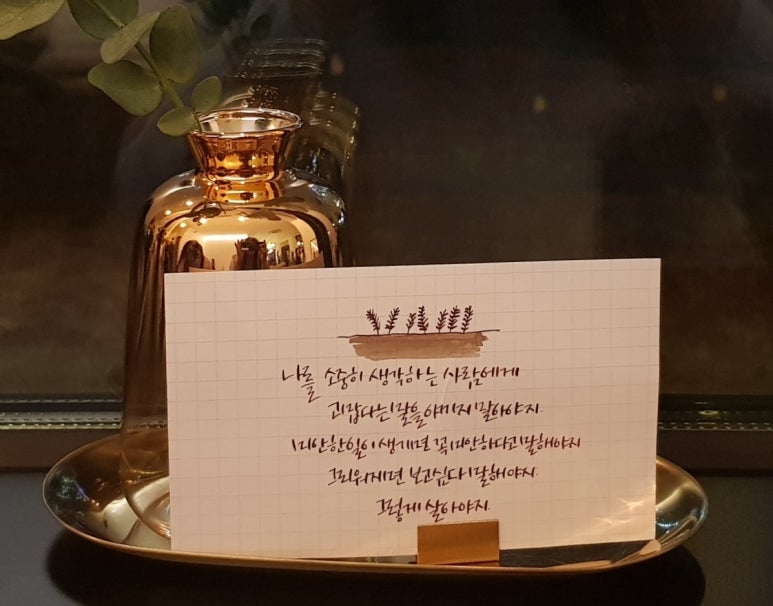 반비크 이미지