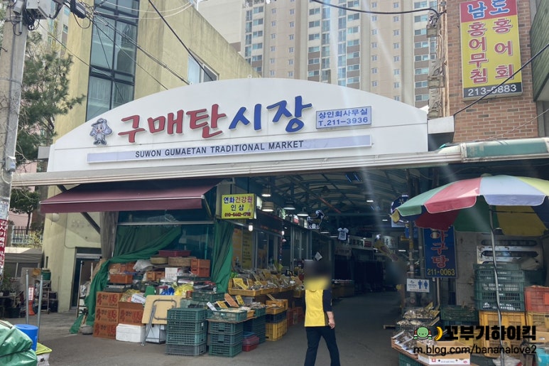 홍어회전문 이미지
